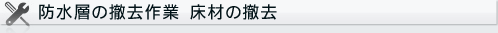 �h���w�̓P����Ɓ@���ނ̓P��